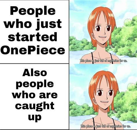 one piece meme